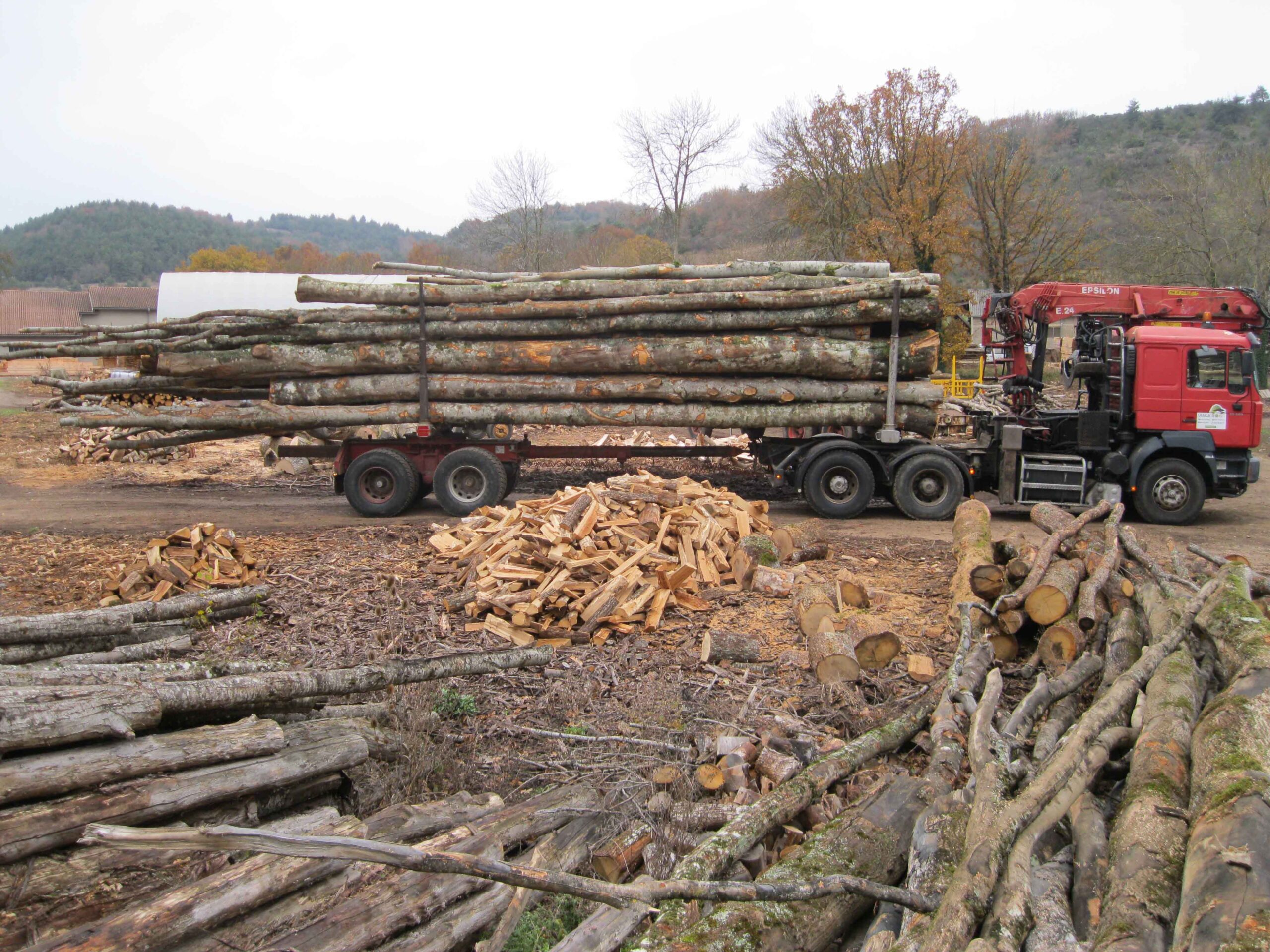 IMG_2447-scaled-1 Chêne en Grume – Camion de 50 Stères – Bois de Chauffage Idéal – Image 1