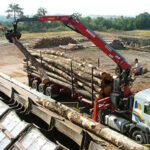 Châtaignier en Grume – Camion de 50 Stères – Chauffage Abondant et Local