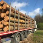 Grumes de charme PEFC par 1 camion – 50M3